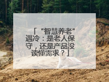 “智慧养老”遇冷：是老人保守，还是产品没读懂需求？